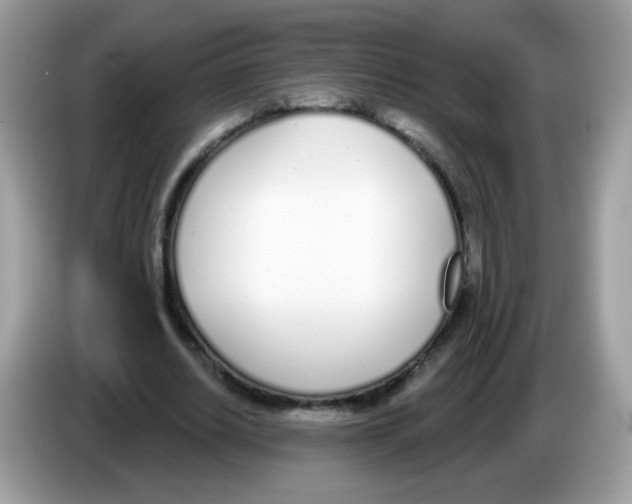 X0000086250630200704261936