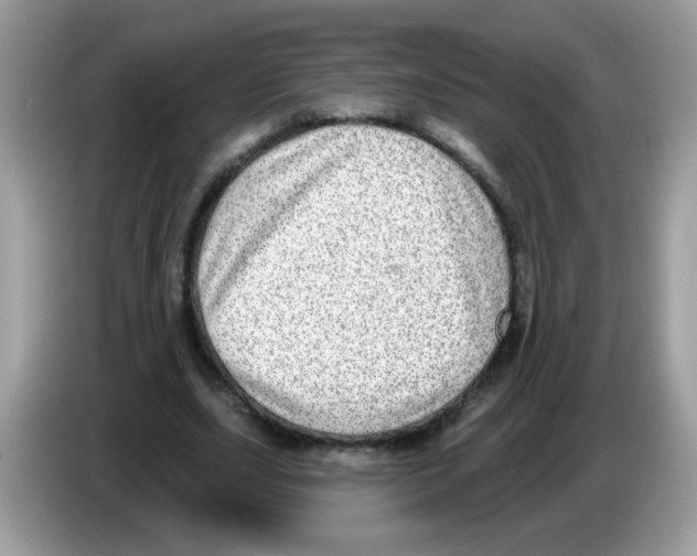 X0000086250631200704261936