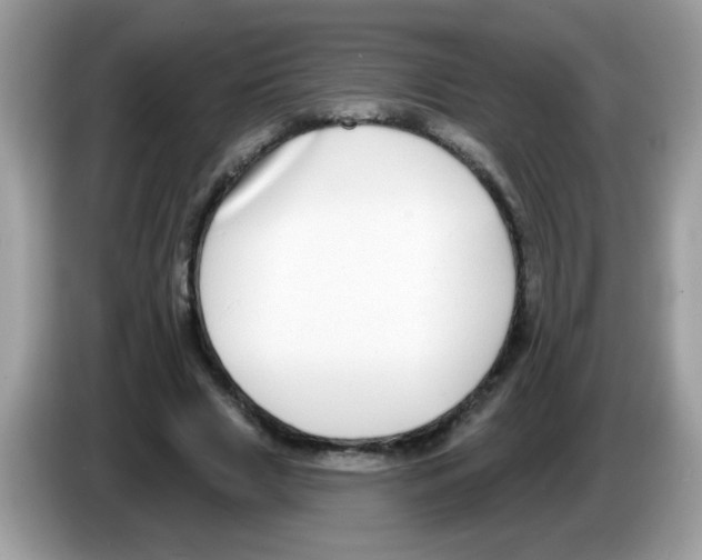 X0000086250633200704261936