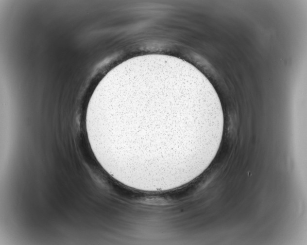 X0000086250636200704261936