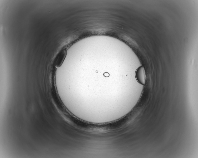 X0000086250638200704261936
