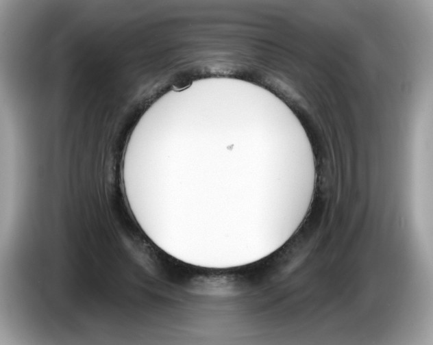 X0000086250639200704261936