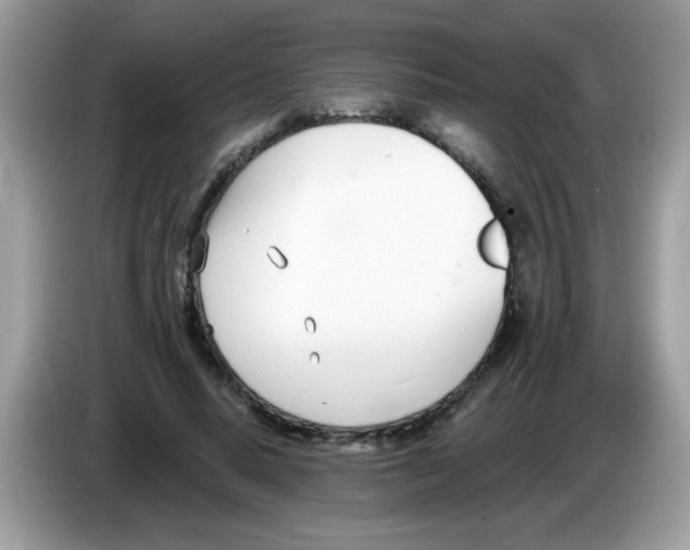 X0000086250640200704261936