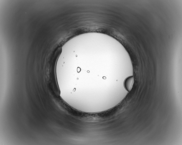 X0000086250642200704261937