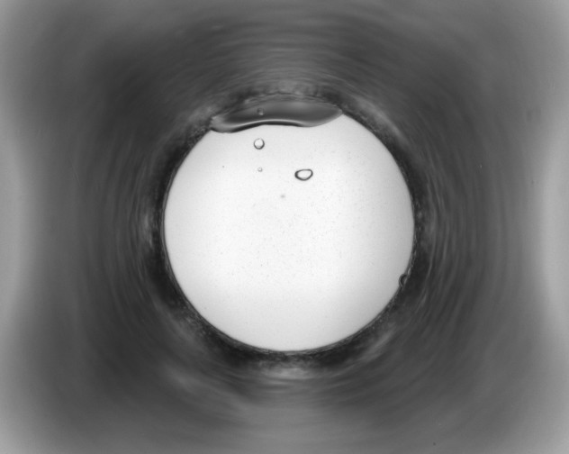 X0000086250643200704261937