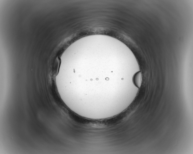 X0000086250644200704261937