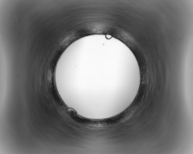 X0000086250646200704261937