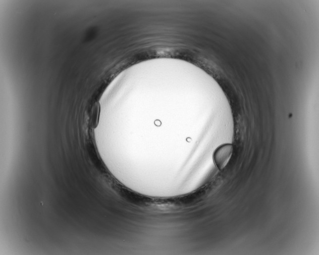 X0000086250650200704261937