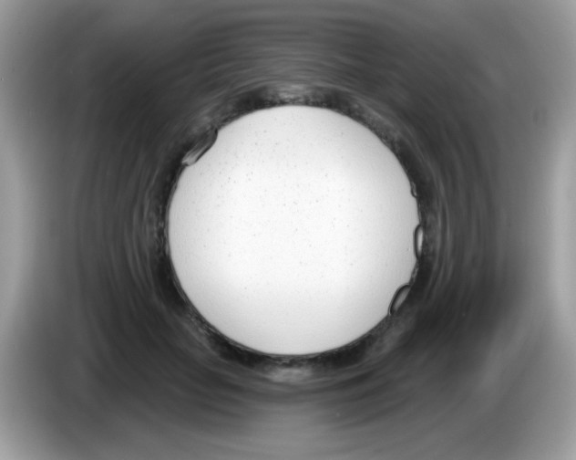 X0000086250653200704261937