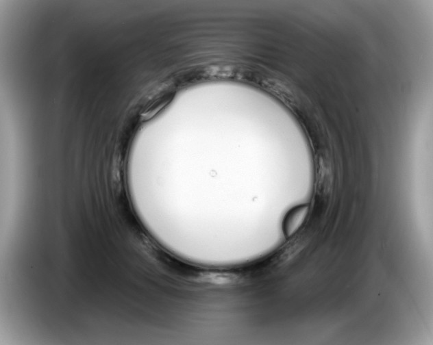 X0000086250654200704261937
