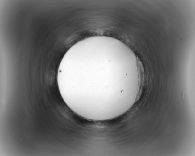 X0000086250656200704261937