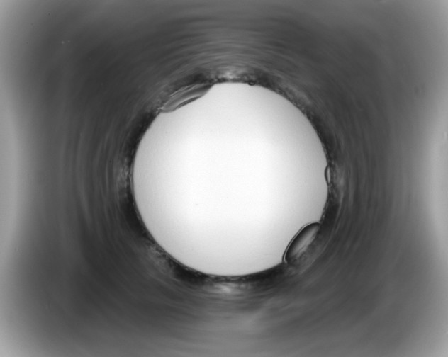 X0000086250657200704261937