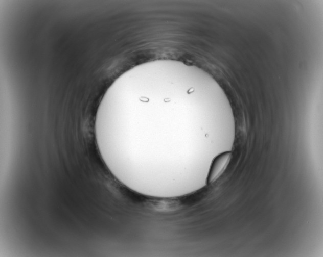 X0000086250663200704261937