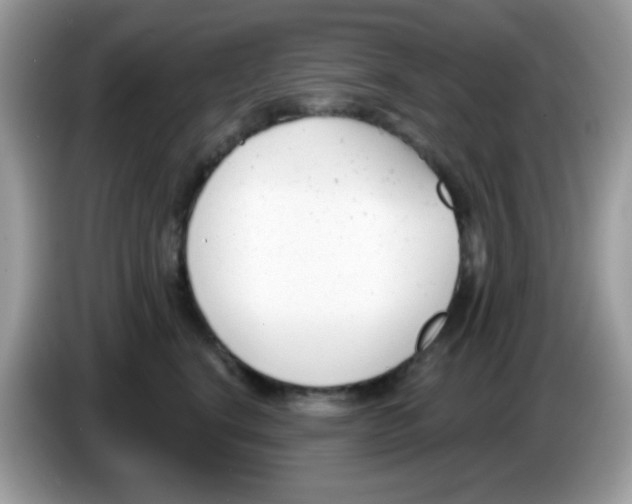 X0000086250664200704261937
