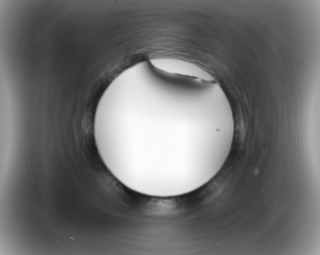 X0000086250665200704261937