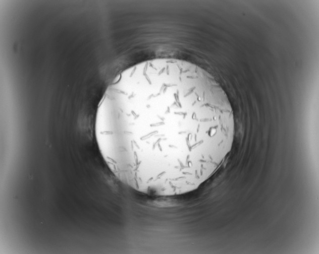 X0000086250666200704261937