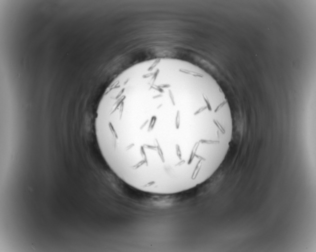 X0000086250667200704261937