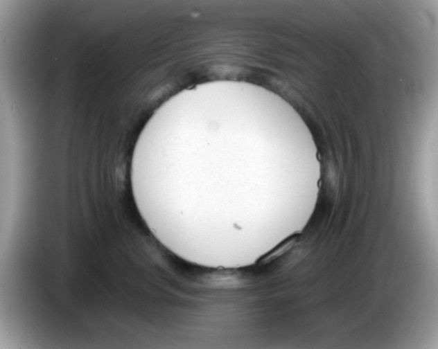 X0000086250668200704261937