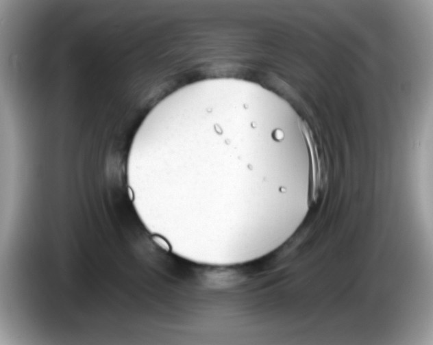 X0000086250669200704261937