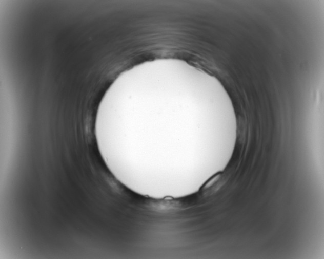 X0000086250670200704261937