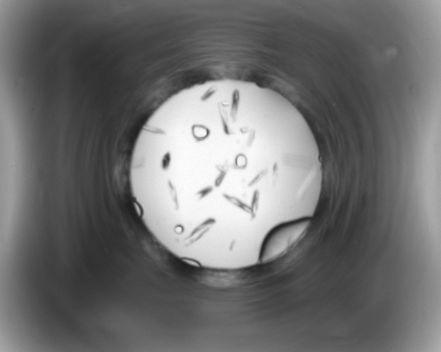 X0000086250671200704261937