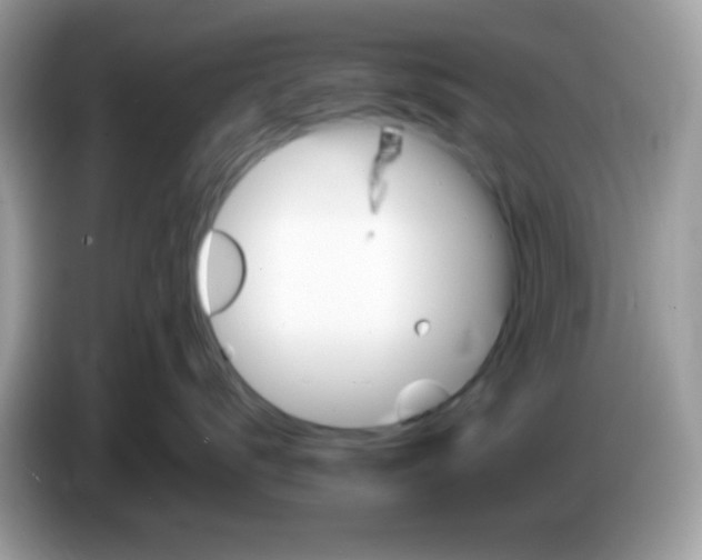 X0000086250672200704261937