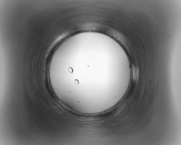 X0000086250675200704261936