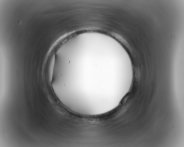 X0000086250676200704261936
