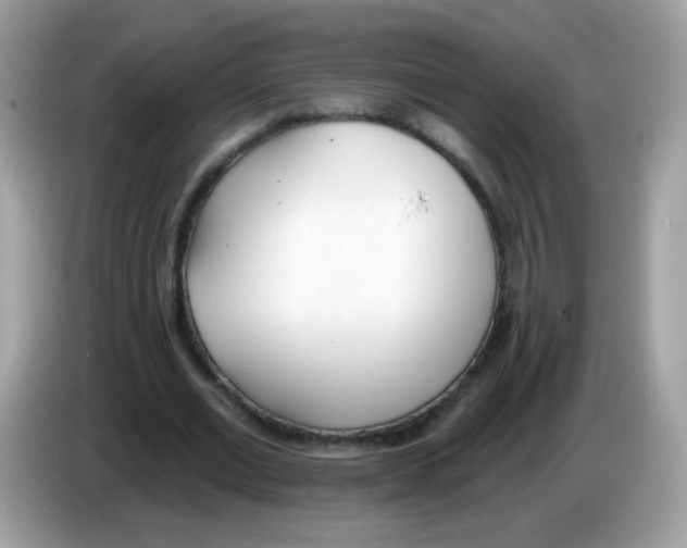 X0000086250677200704261936