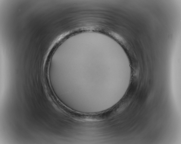 X0000086250678200704261936