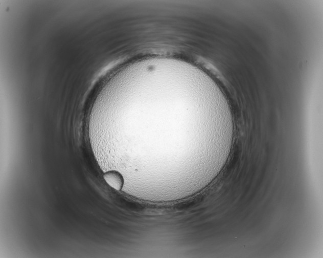 X0000086250679200704261936
