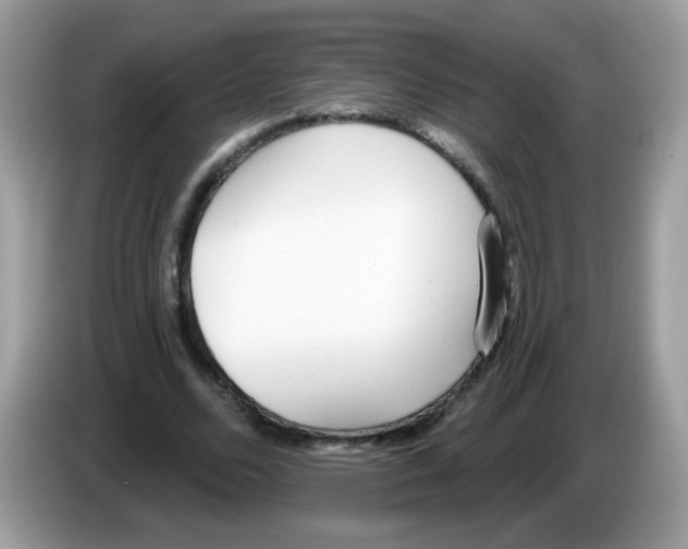 X0000086250680200704261936