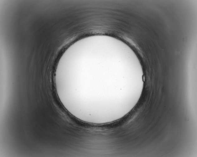 X0000086250681200704261936