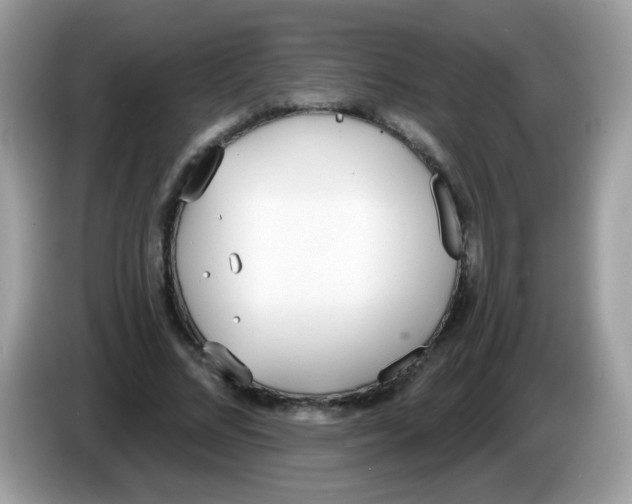 X0000086250684200704261936