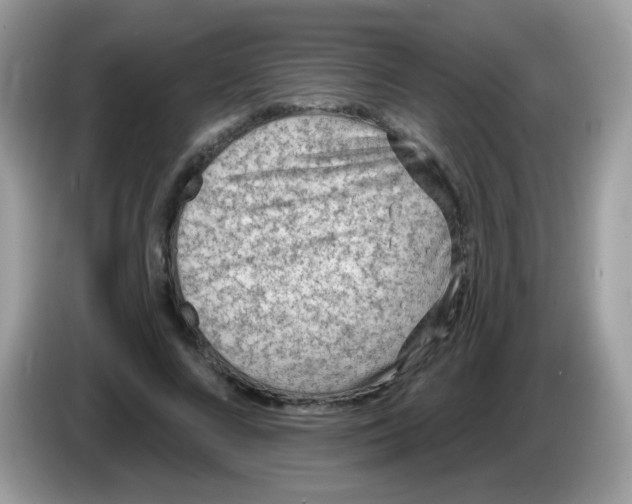 X0000086250688200704261936