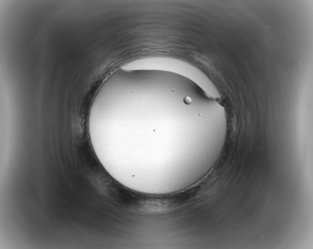 X0000086250691200704261936