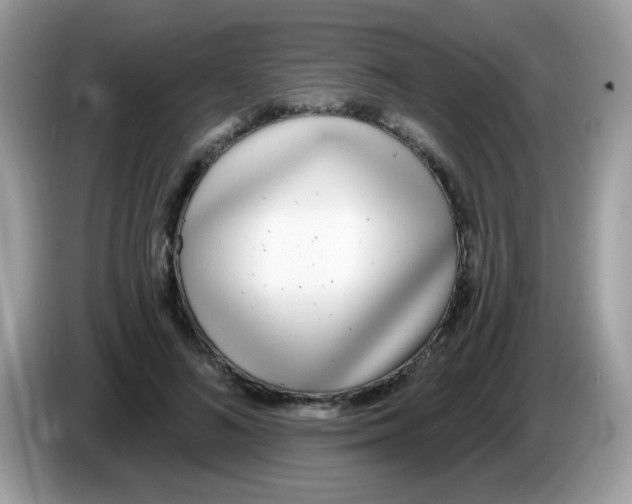 X0000086250692200704261936