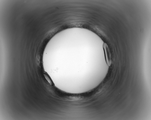 X0000086250693200704261936