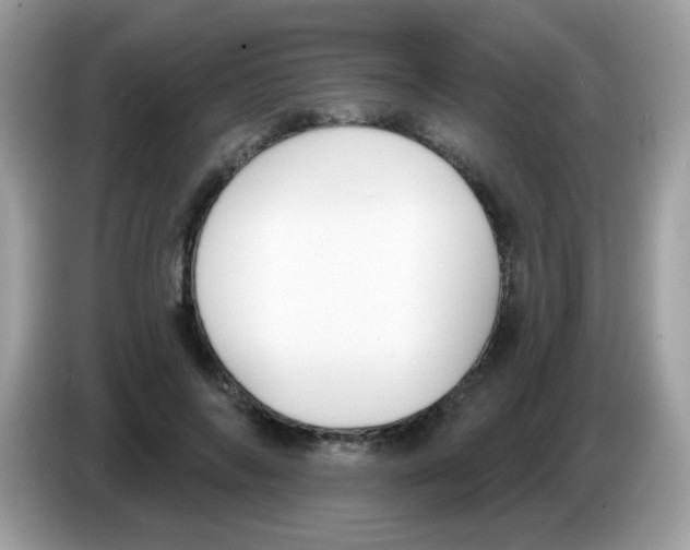 X0000086250694200704261936