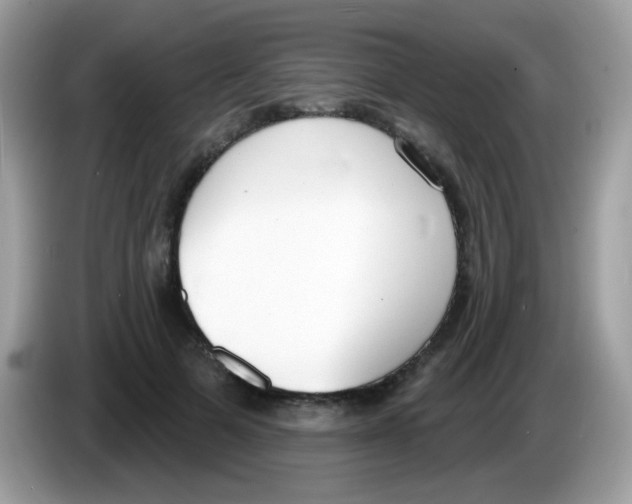 X0000086250697200704261936