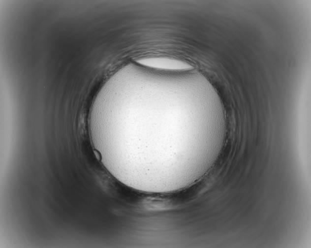 X0000086250699200704261936