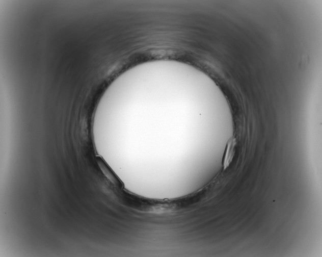 X0000086250700200704261936