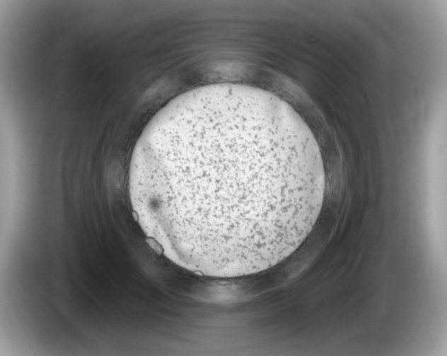 X0000086250701200704261936