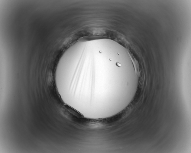 X0000086250704200704261936