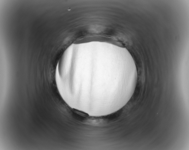 X0000086250712200704261936