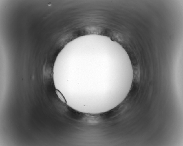 X0000086250713200704261936