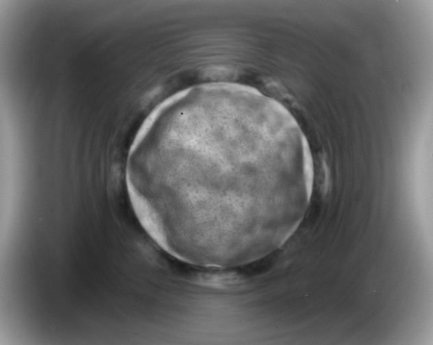 X0000086250716200704261936