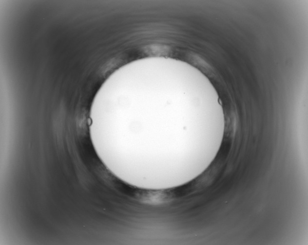 X0000086250717200704261936