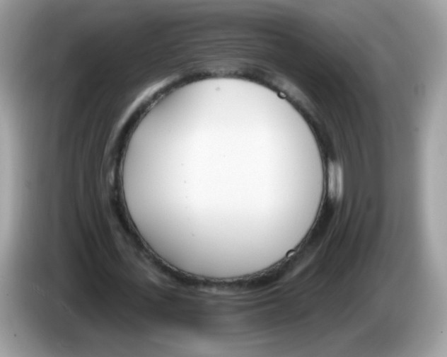 X0000086250723200704261935