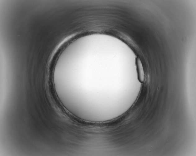 X0000086250724200704261935